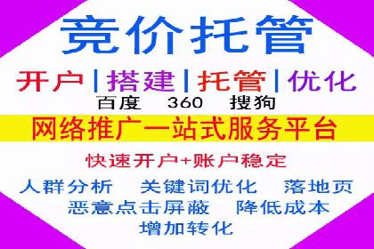 某电商平台的SEM推广策略及效果分析